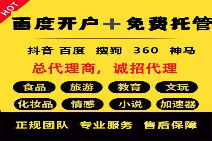 SEM代运营托管公司成功案例：提升转化率的关键策略